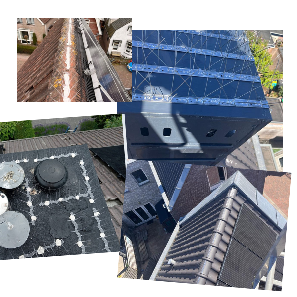 images/homepage/Duivenpinnenaanbrengenheerhugowaardalkmaar2024.png