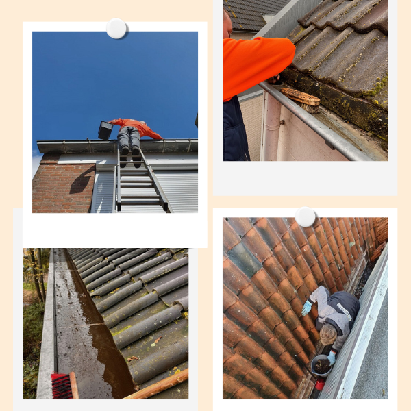 images/homepage/reinigeninhouddakgootrandenplaatsenbladvangrooster2024.png