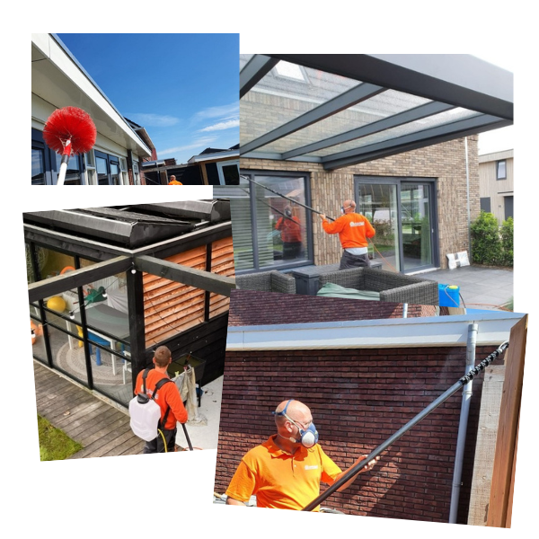 images/homepage/spinnenbestrijdingheerhugowaardalkmaar2024enomstreken.png
