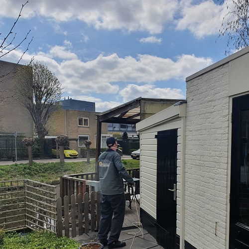 Spinnenbestrijding o.a. Sint Pancras, Hhw, Zuid Scharwoude, Obdam, Amsterdam April 2021
