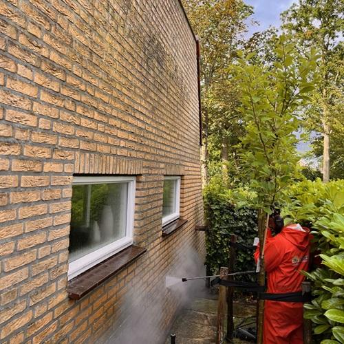 images/productimages/small/gevellatenschoonmakenincastricum2024.jpg