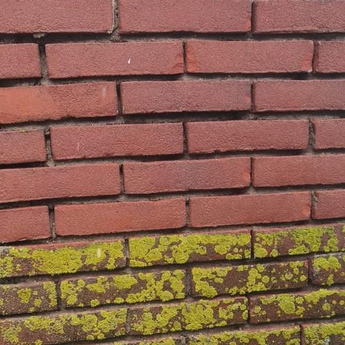 Reiniging, gevelrenovatie en glasbewassing woning Koedijk Juni 2026