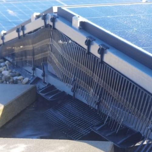 Plaatsen vogelwering zonnepanelen Alkmaar Hout/Vossenhof mei 2026