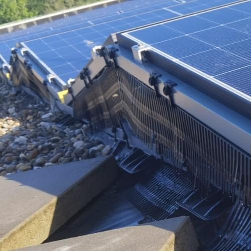 Plaatsen vogelwering zonnepanelen Alkmaar Hout/Vossenhof mei 2026