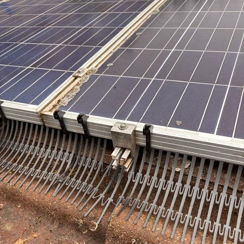 Aanbrengen vogelwering rondom zonnepanelen installatie Hoogwoud April 2025