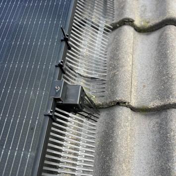 Aanbrengen vogelwering rondom zonnepanelen Heerhugowaard Butterhuizen Maart 2024