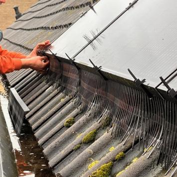 Aanbrengen vogelwering rondom zonnepanelen Heerhugowaard Oktober 2023