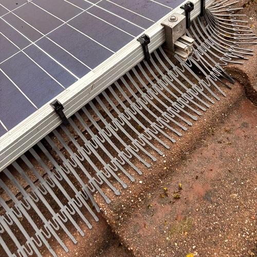 Aanbrengen vogelwering rondom zonnepanelen installatie Hoogwoud April 2025
