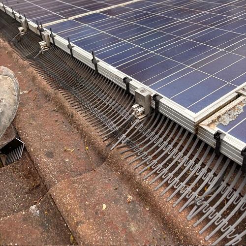Aanbrengen vogelwering rondom zonnepanelen installatie Hoogwoud April 2025