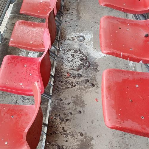 Reiniging tribunes en dakconstructie AZ Stadion Alkmaar juni 2026