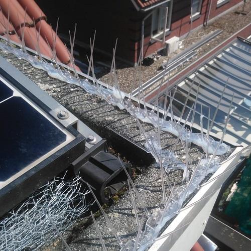 Reiniging dakkapel en zonnepanelen in Rhoon Portland Juni 2025