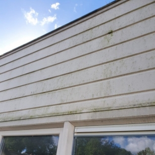 Reiniging dakkapel en gevelbekleding woning Middenmeer September 2020