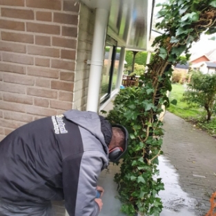 Verflaag verwijderen (bak) stenen muur woning particulier Amsterdam Oktober 2020