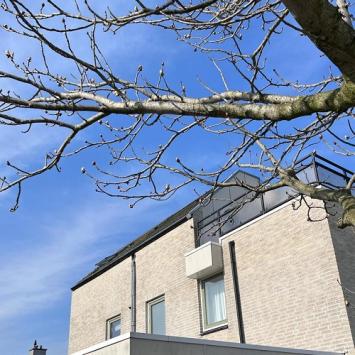 Complete renovatie gevel woning particulier Butterhuizen Heerhugowaard April 2023