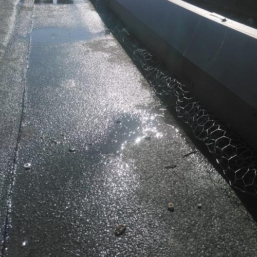 Reiniging dakkapel en zonnepanelen in Rhoon Portland Juni 2025