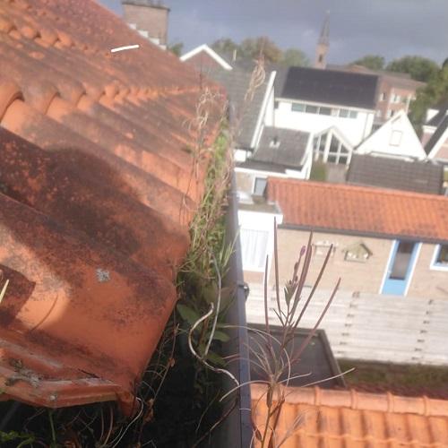 Reiniging gevelbekleding en dakgoten ’t Zand September 2025