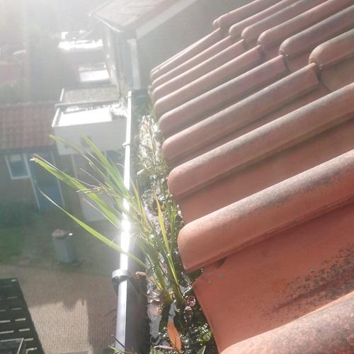 Reiniging gevelbekleding en dakgoten ’t Zand September 2025