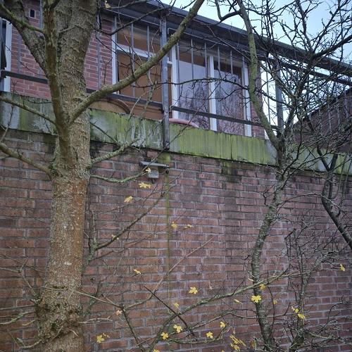 Reiniging gevels, bergingen, galerijvloeren en hekwerken complexen Bergen december 2025