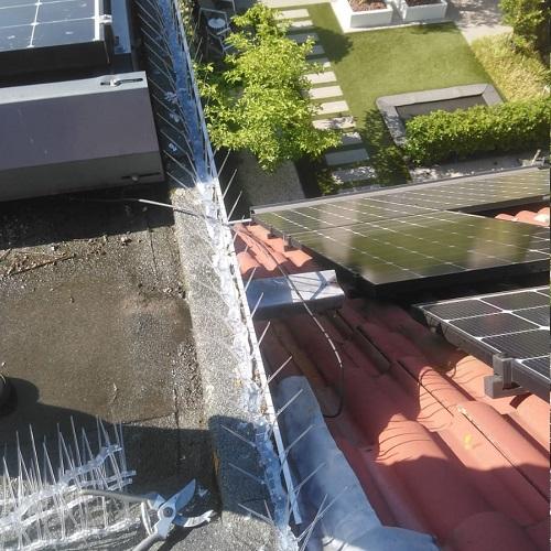 Reiniging dakkapel en zonnepanelen in Rhoon Portland Juni 2025