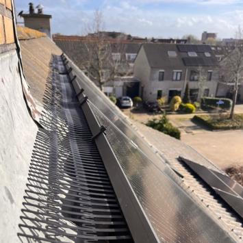 Aanbrengen vogelwering rondom zonnepanelen Heerhugowaard Butterhuizen Maart 2024