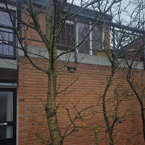 Reiniging gevels, bergingen, galerijvloeren en hekwerken complexen Bergen december 2025