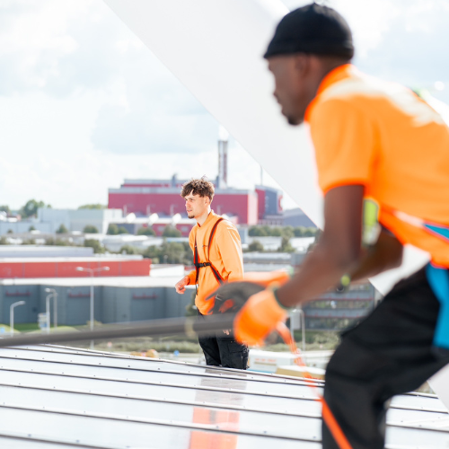 Reiniging staalconstructie en daken AZ Stadion Alkmaar Januari 2026