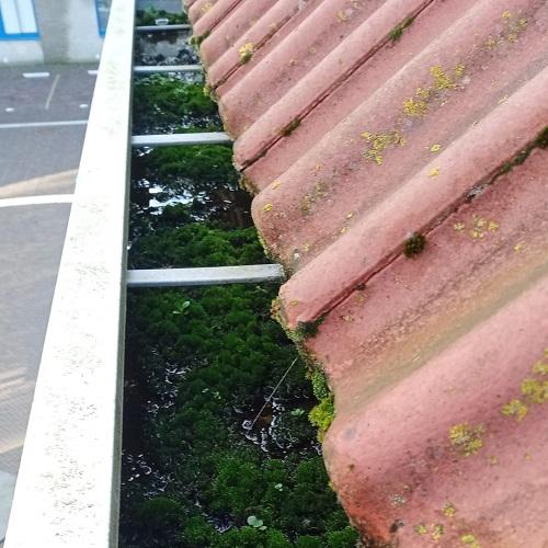 Reinigen dakkapel, dakgoot en  zonnepanelen Zaandam oktober 2025