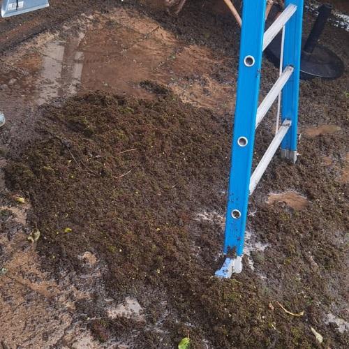 Reiniging dak en dakgootrand Lange Weide Oudendijk November 2025