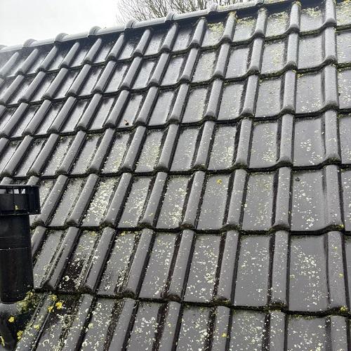 Reinigen gevel en dakpannen woning Westwoud Maart 2026