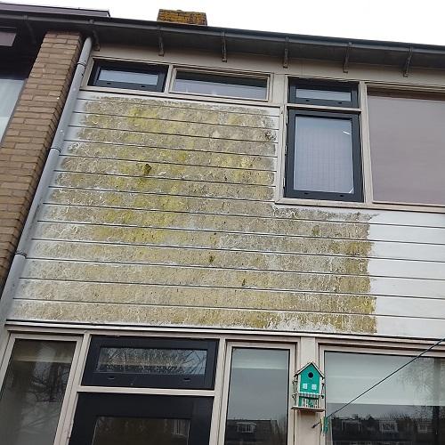 Reinigen en conserveren gevelbekleding en kozijnwerk Bergen Bergen Binnen April 2026