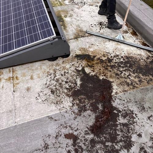 Reinigen gecoat dak Stationsplein Heerhugowaard Januari 2026