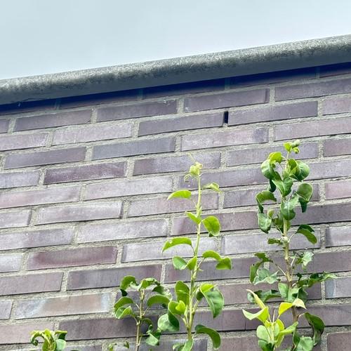 Reinigen boeidelen, kozijnen en balustrades Heerhugowaard Bomenwijk juni 2026