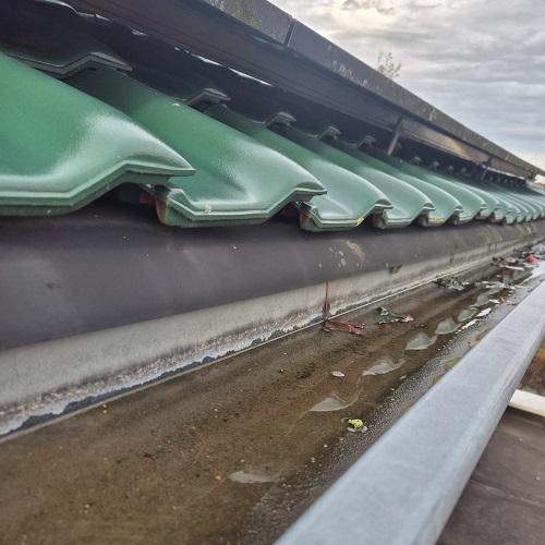 Reiniging dakgootrand Else van den Banlaan Heerhugowaard November 2025