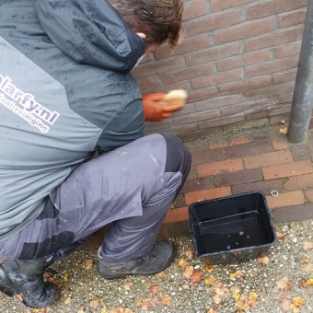 Verwijderen witte uitslag buitenmuur woning in Heerhugowaard Oktober 2020