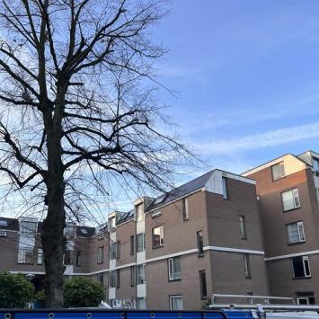 Reiniging kunststof elementen rondom appartementencomplex IJmuiden November 2022