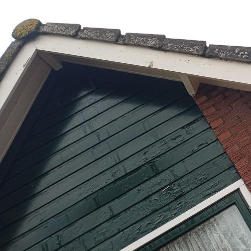 Spinnenbestrijding en reinigen houtwerk in Kamerik Wijk 07 April 2026