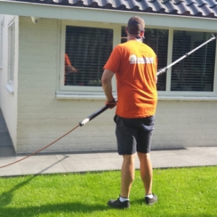 Bestrijden spinnenplaag woning particulier Amsterdam Oud Zuid Augustus 2020