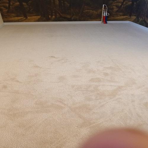 Reinigen tapijt zolder en trap woning Heerhugowaard Januari 2026