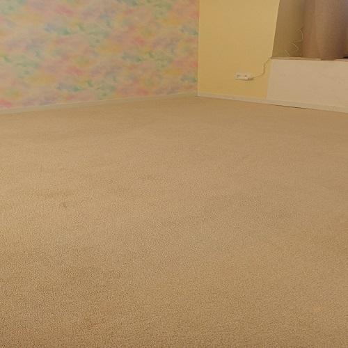 Reinigen tapijt zolder en trap woning Heerhugowaard Januari 2026