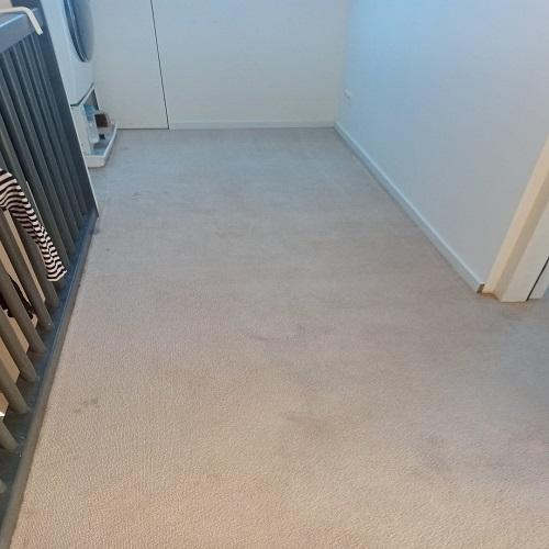 Reinigen tapijt zolder en trap woning Heerhugowaard Januari 2026