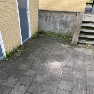 Straatwerk reiniging vereniging van eigenaren Alkmaar de Mare Juli 2021