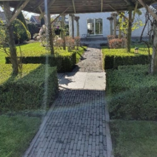 Terrasreiniging en straatwerkreiniging tuin particulier Schagen April 2020