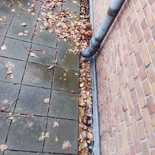Dakgootrand reinigen in Oud Crooswijk Rotterdam september 2026