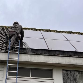 Aanbrengen vogelwering rondom zonnepanelen Heerhugowaard Oktober 2023