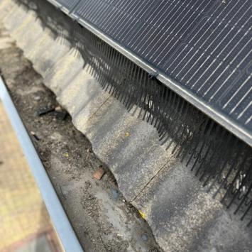 Aanbrengen vogelwering rondom zonnepanelen Heerhugowaard Butterhuizen Maart 2024