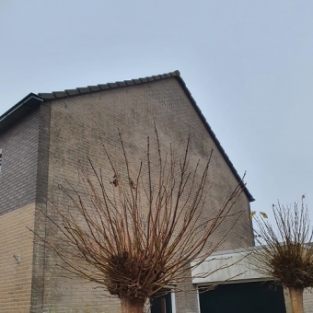 Gevel reiniging en impregneren woning Wieringerwerf Noord Holland December 2020