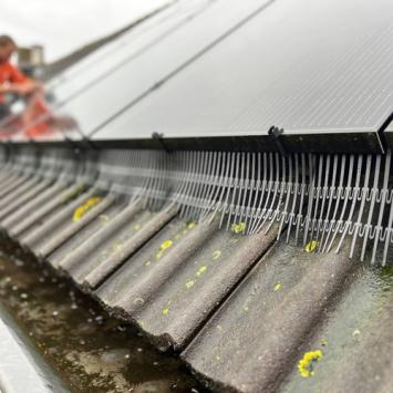 Aanbrengen vogelwering rondom zonnepanelen Heerhugowaard Oktober 2023