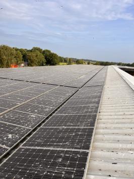 Schoonmaken zonnepanelen ijsbaan de meent Alkmaar Juni 2023