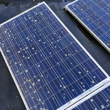 Schoonmaken schilderwerk en zonnepanelen woning Wognum December 2022